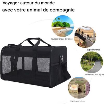 Petopia Sac de Transport pour Chat et Chien