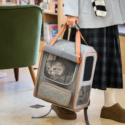Petopia Sac à dos portatif pour chat