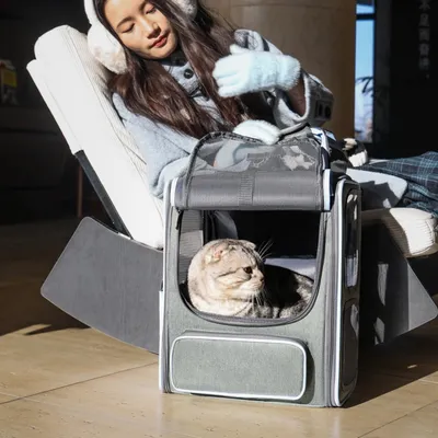 Petopia Sac à dos portatif pour chat