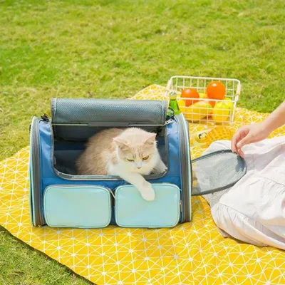 Petopia Sac de transport pour chat portable et pliable