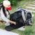 Petopia Sac à dos pour chat et petit chien