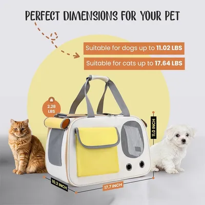 IntiMeg Sac de Transport Pliable pour Chiens et Chats