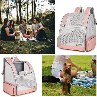 Petopia Sac à dos pour petits chiens et chats