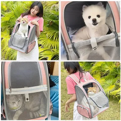 Petopia Sac à dos pour petits chiens et chats