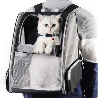 Petopia Sac à dos pour petits chiens et chats