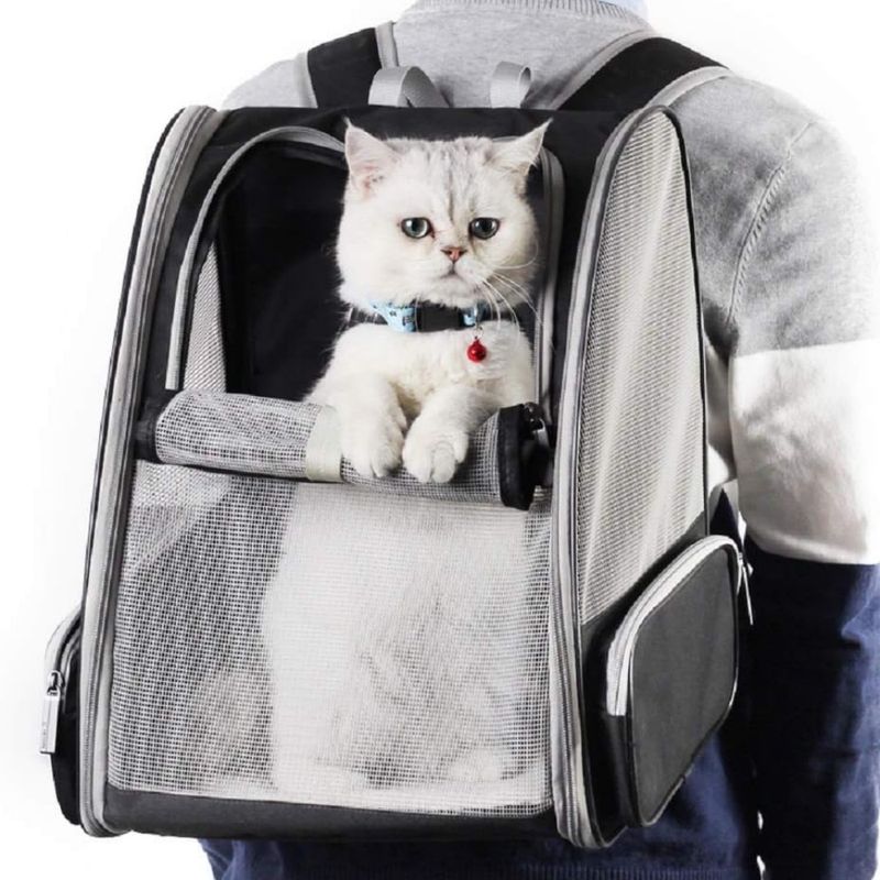 Petopia Sac à dos pour petits chiens et chats