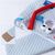 Pet Planet Sac de transport pour chats et petits chiens d'été