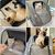 Petopia Sac à dos pour petits chiens et chats
