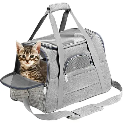 UAMLY Sac Transport Chat UAMLY Sac Transport Chat