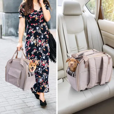 Petopia  Sacs à dos pour chiens et chats