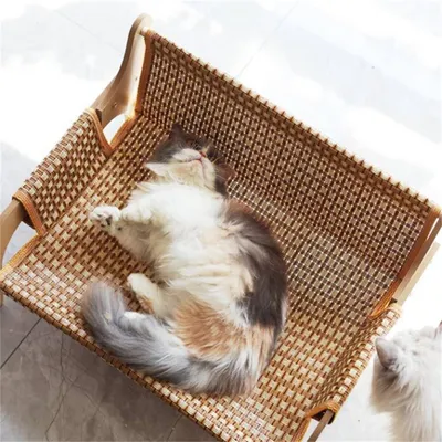 IntiMeg Canapé - nid pour chats et chiens