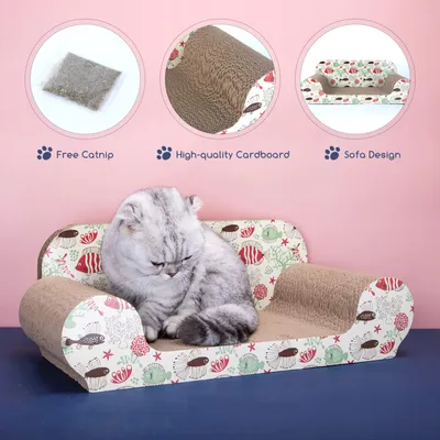 Planche à gratter pour chat, canapé avec herbe à chat