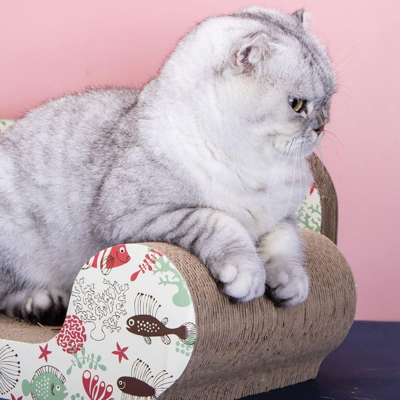 Planche à gratter pour chat, canapé avec herbe à chat