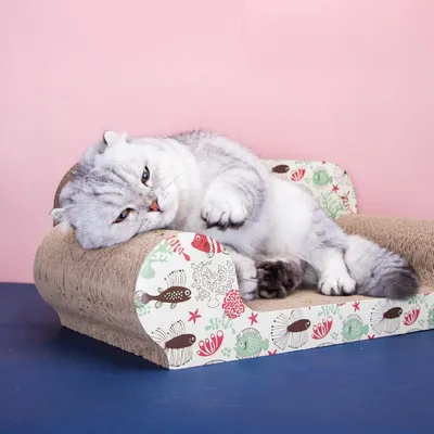 Planche à gratter pour chat, canapé avec herbe à chat