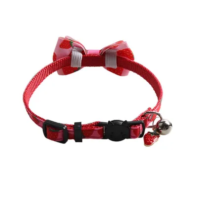 Petopia Collier pour chats et petits chiens