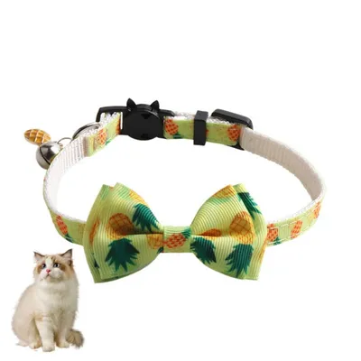 Petopia Collier pour chats et petits chiens