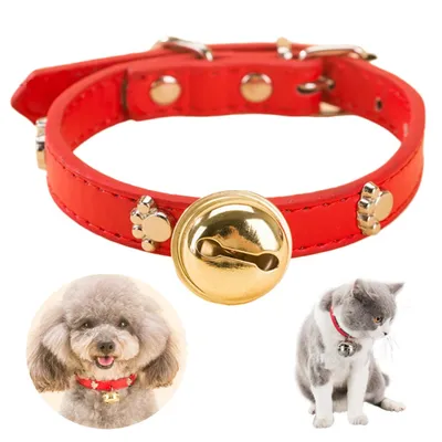 Pet Planet Collier pour chiens et chats avec cloche
