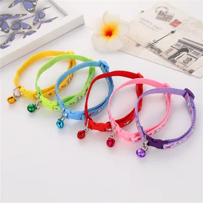 IntiMeg Collier pour chat 6PCS