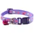 IntiMeg Collier pour chat 6PCS