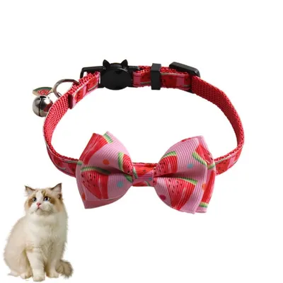 Petopia Collier pour chats et petits chiens