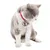 Pet Planet Collier pour chiens et chats avec cloche