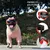 UAMLY Hunde-Sonnenbrille mit UV-Schutz UAMLY Hunde-Sonnenbrille mit UV-Schutz