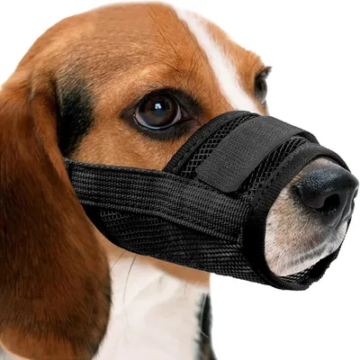 Petopia Muselière en Nylon Réglable pour Chiens