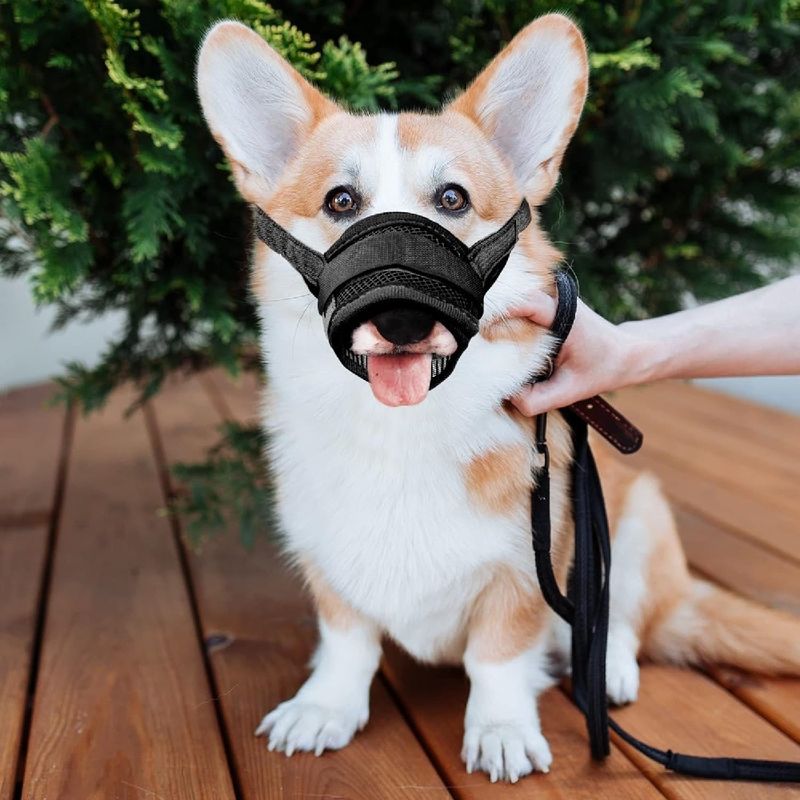 Petopia Muselière en Nylon Réglable pour Chiens