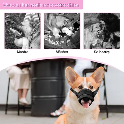 Petopia Muselière en Nylon Réglable pour Chiens