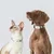 Pet Planet Collier intelligent pour chien et chat