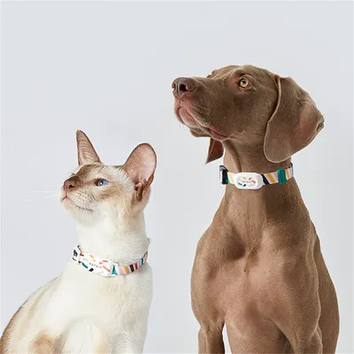 Pet Planet Collier intelligent pour chien et chat