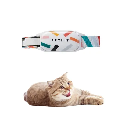 Pet Planet Collier intelligent pour chien et chat