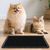 IntiMeg Griffeuse pour chat en silicone 29x29 cm