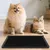 IntiMeg Griffeuse pour chat en silicone 29x29 cm