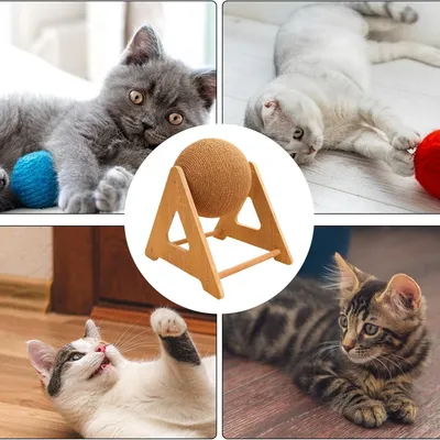 Petopia Balle à gratter pour chat
