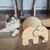 Petopia  balle à gratter pour chat