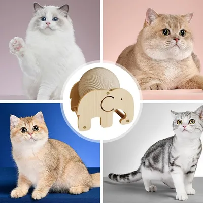 Petopia  balle à gratter pour chat