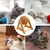 Petopia Balle à gratter pour chat
