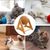 Petopia Balle à gratter pour chat