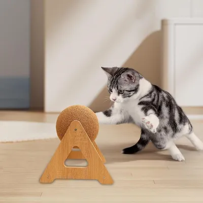 Petopia Balle à gratter pour chat