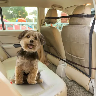 UAMLY Filet de sécurité pour chien de voiture