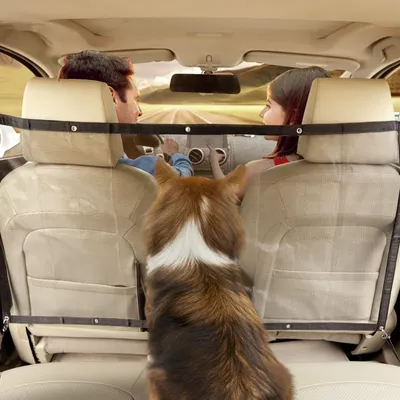 Filet de sécurité pour chien de voiture