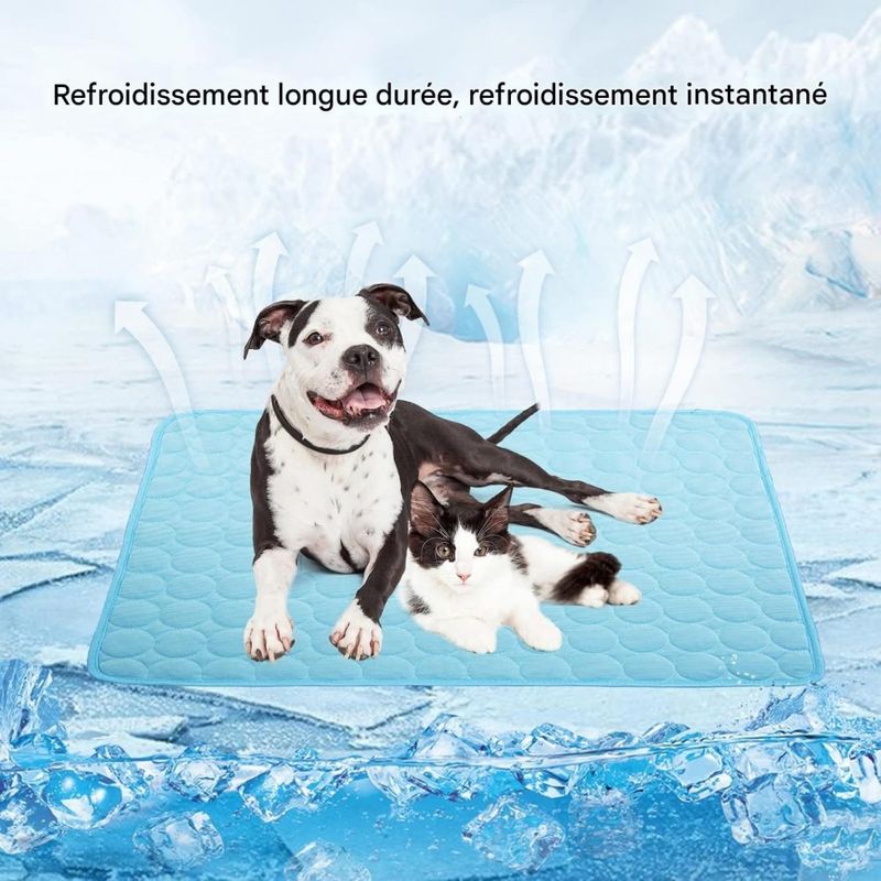 Pet Planet Chiens et Chats CoolingPadSet Matelas de Refroidissement