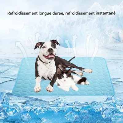 Pet Planet Chiens et Chats CoolingPadSet Tapis rafraîchissant Pet Planet Chiens et Chats CoolingPadSet Tapis rafraîchissant