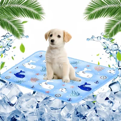 Pet Planet Chiens et Chats TapisRafraichissantSet Tapis Rafraîchissant