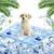 Pet Planet Chiens et Chats TapisRafraichissantSet Tapis Rafraîchissant