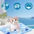 Pet Planet Chiens et Chats TapisRafraichissantSet Tapis Rafraîchissant