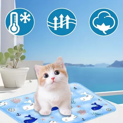 Pet Planet Chiens et Chats TapisRafraichissantSet Tapis Rafraîchissant