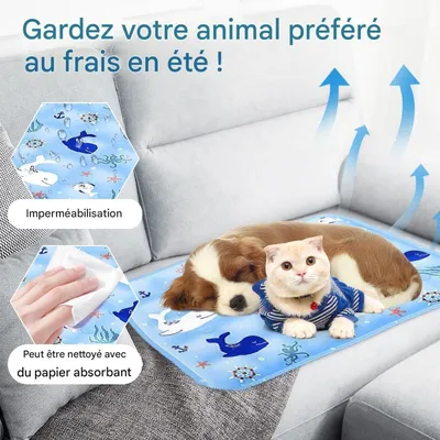 Pet Planet Chiens et Chats TapisRafraichissantSet Tapis Rafraîchissant