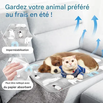 Pet Planet Chiens et Chats TapisRafraichissantSet Tapis Rafraîchissant